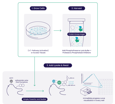20250709 AssayQuant Workflow Graphic 03-1