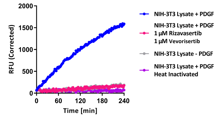 AKT1.2.3 full time course nih3t3 AKT1.2.3 full time course nih3t3
