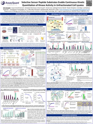DOT 2026 poster: selective sensor peptide substrates for continuous kinase activity quantitation in unfractionated cell lysates