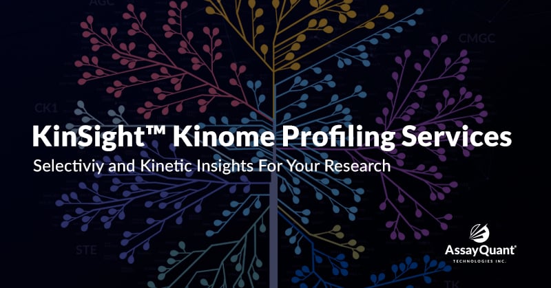 KinSight-Kinome-Profiling-Link-Preview-1