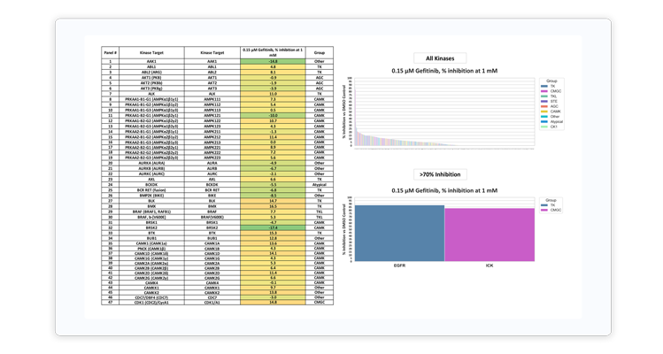 Profiling-sample-report-Card-2