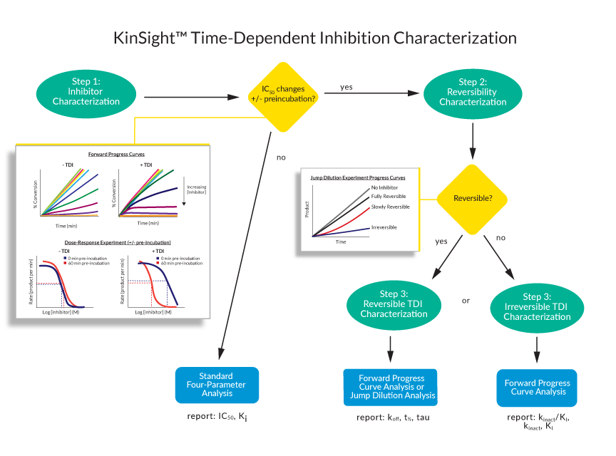 tdi time-dependent inhibition workflow
