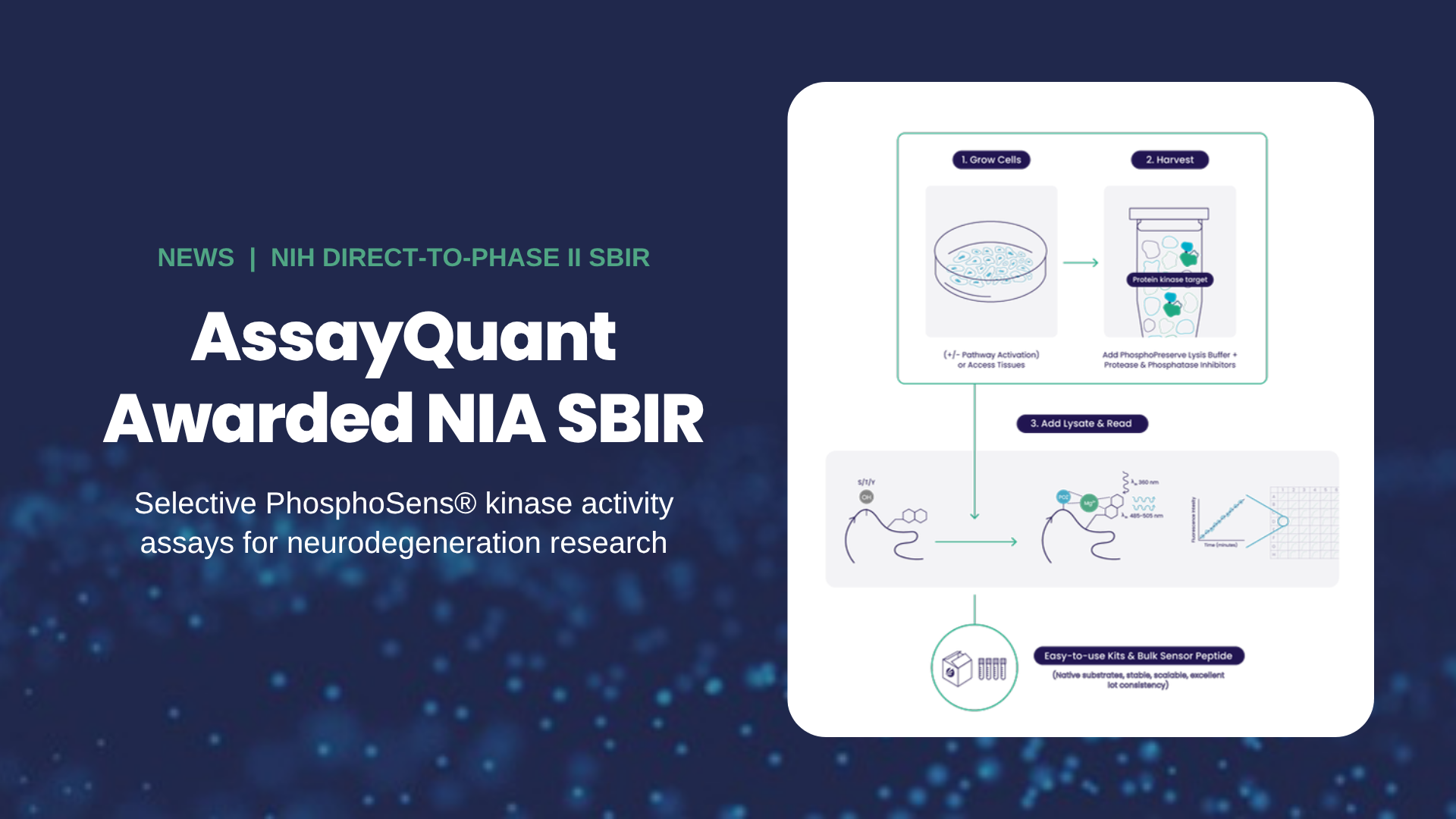 AssayQuant awarded NIA SBIR grant for PhosphoSens kinase activity assays for neurodegeneration research
