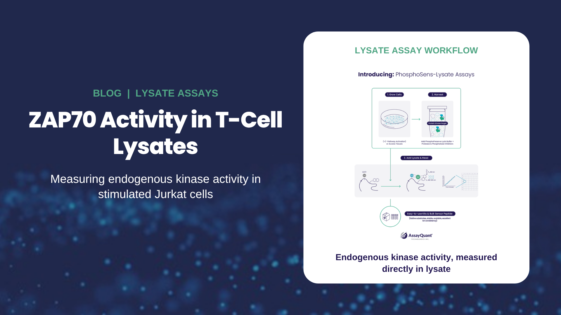 Measuring ZAP70 kinase activity in T-cell lysates with the PhosphoSens lysate assay workflow
