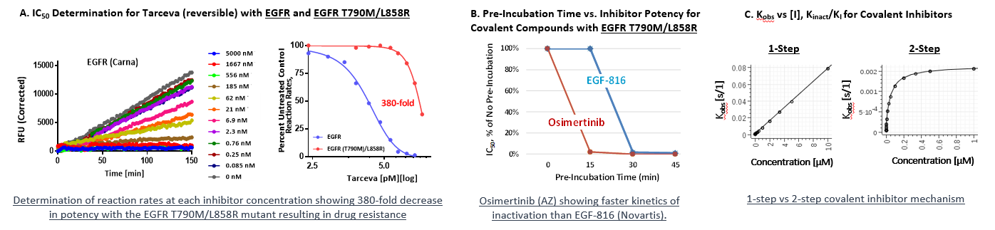 Enzyme Inhibitor Assessments