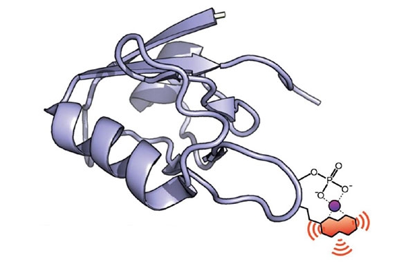 Fluorescent and luminescent enzyme sensors