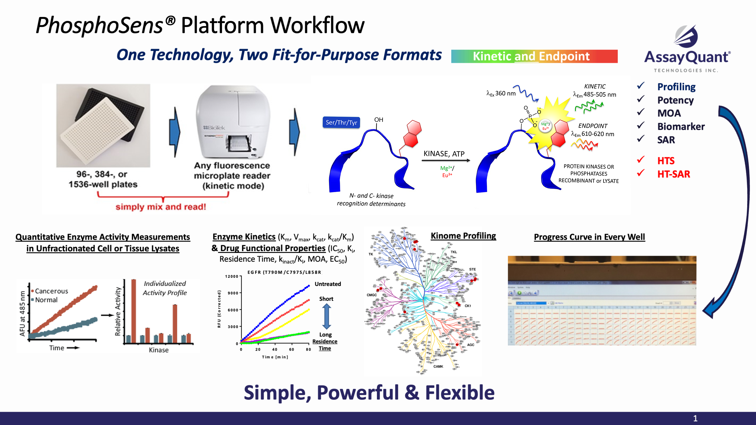 PhosphoSens Platform Workflow