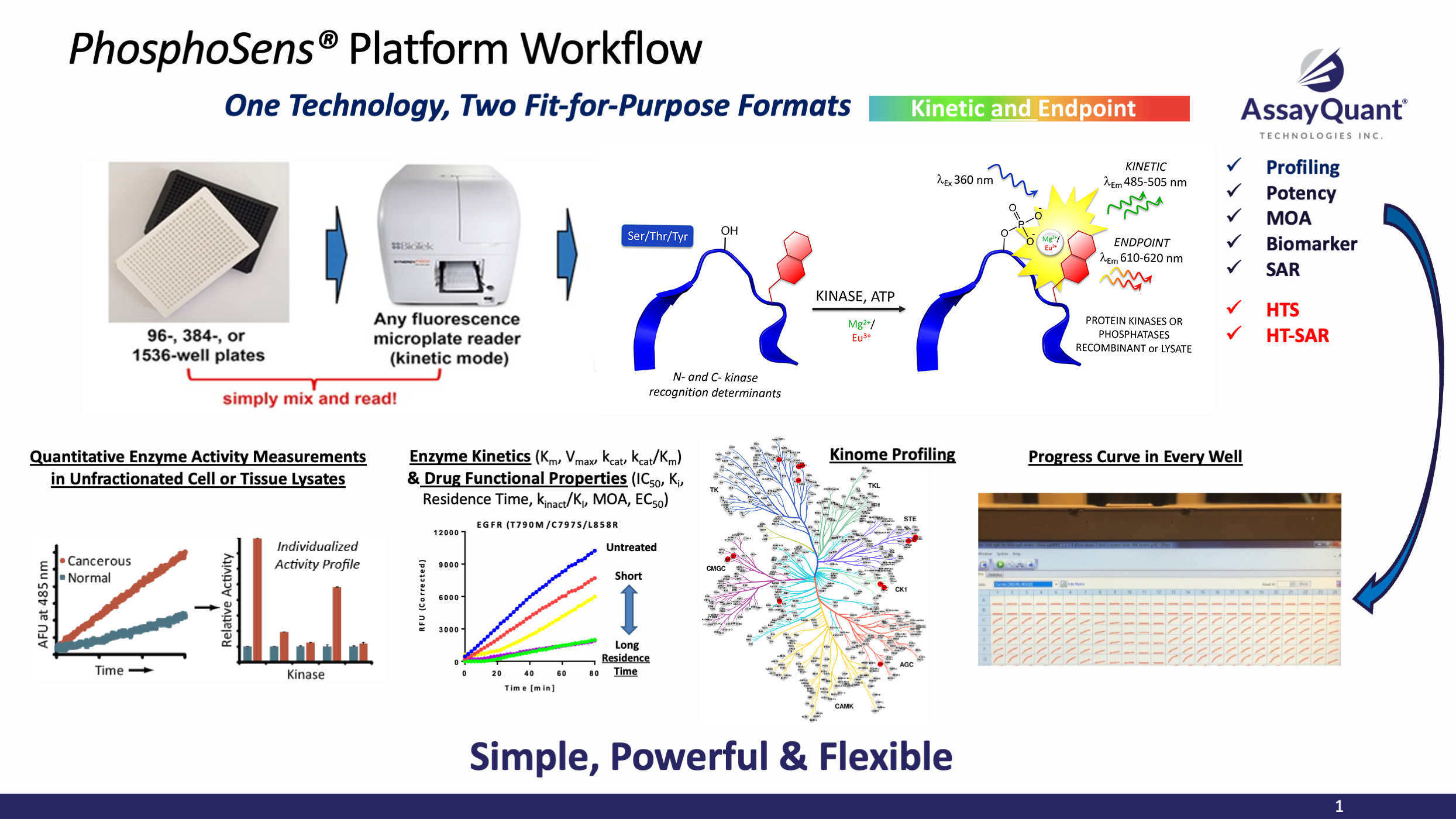 PhosphoSens Workflow Diagram