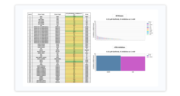 Profiling-sample-report-Card-2