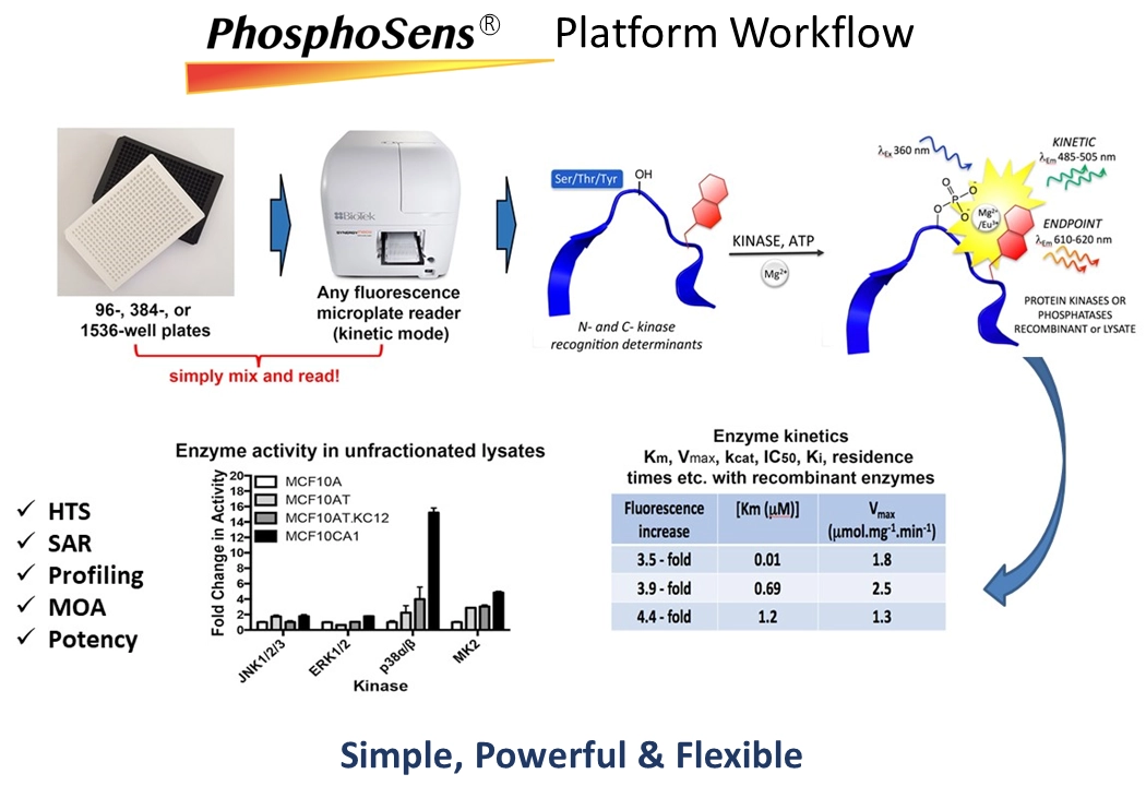 PhosphoSens Platform Workflow